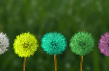 personal transformation personal transformation